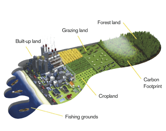 phd sustainability india